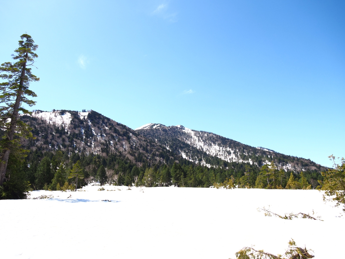 2026年尾瀬シーズンが始まりました！｜まだ知らない尾瀬ストーリー#19