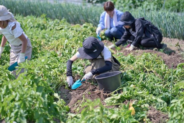 空豆は、本当に空を向いていた｜アウトドアタウンときがわで里山遊び＃39