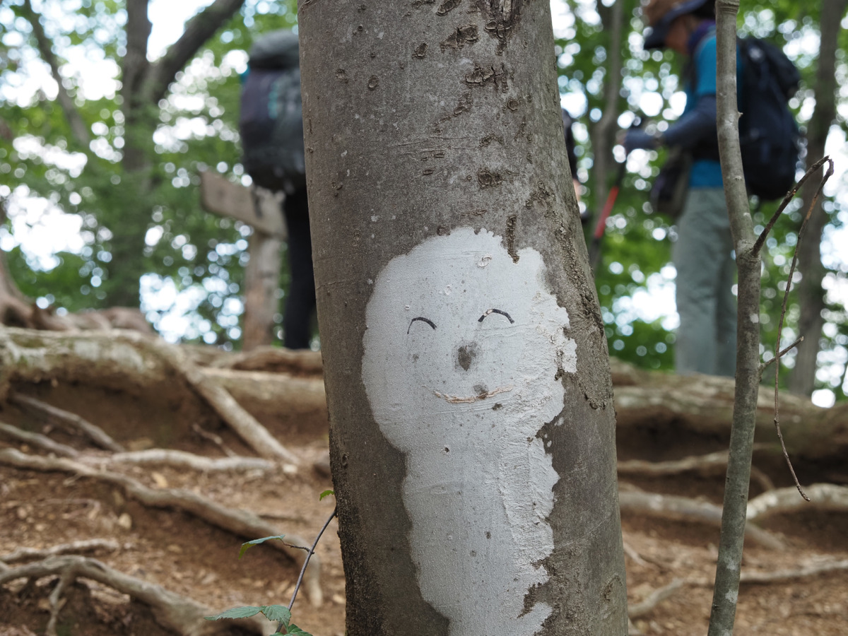 夏山シーズン前に、長いけど楽しい！巻いてもいい！南高尾
