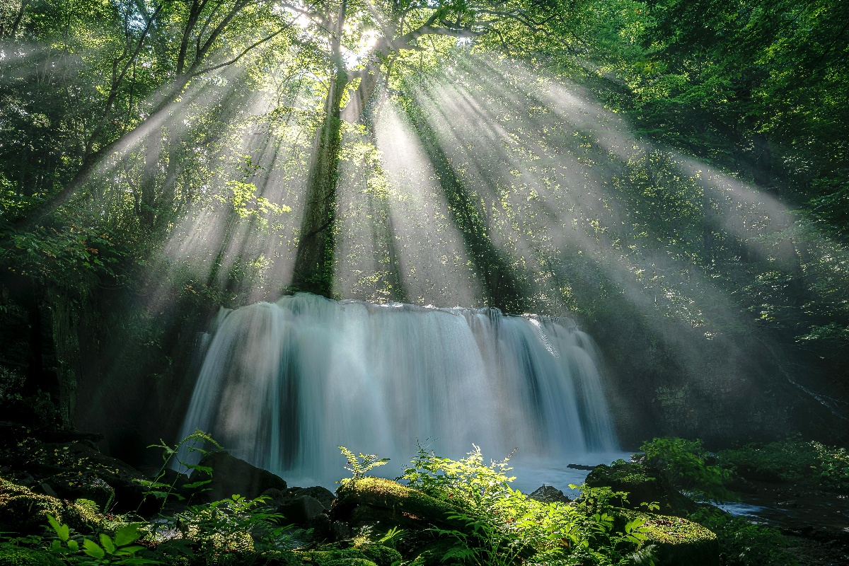 歩く楽しみを、一枚の写真に込めて。『JAPAN TRAIL フォトコンテスト2026』