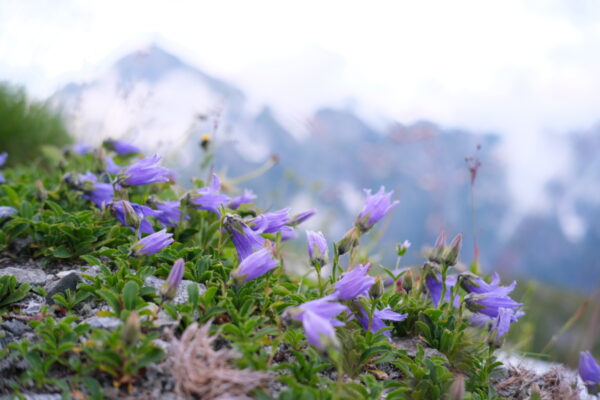 雲の上で迎える朝。立山・剣御前小舎ではじめる北アルプス入門