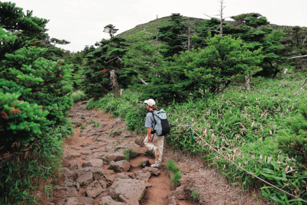 済州島の、知らなかった山の魅力。漢拏山をめぐる緑と風の旅【前編】｜登山口から山頂へ