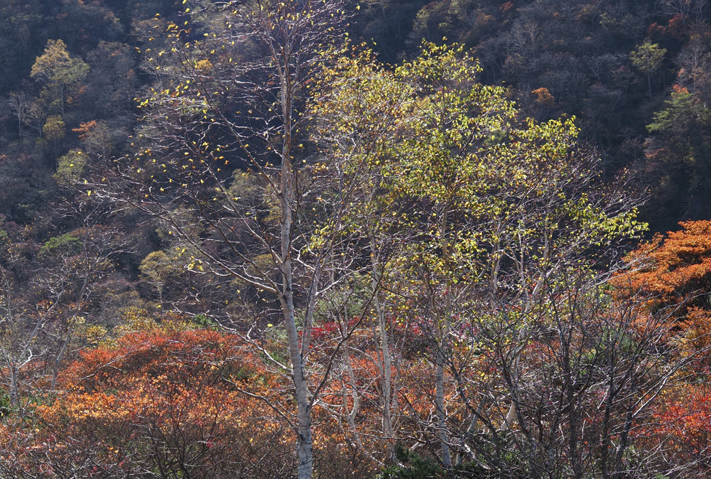 紅葉の那須岳トレッキングと、秘湯・三斗小屋温泉「大黒屋旅館」ですごす至福の秋旅