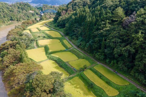 長野県の「JapanVelo千曲川ルート」が、JapanVeloの日本第2号ルートに認定。試走会も開催