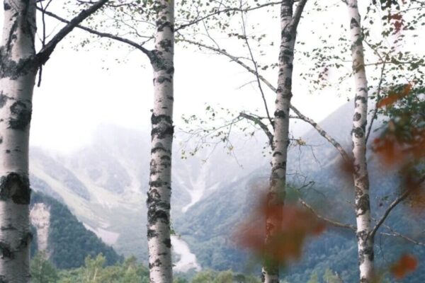 初秋の上高地、美しい水鏡を楽しむ。ひとり歩きで王道コースを半日ハイク